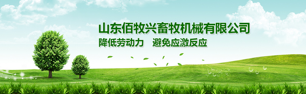 豬場自動(dòng)化料線